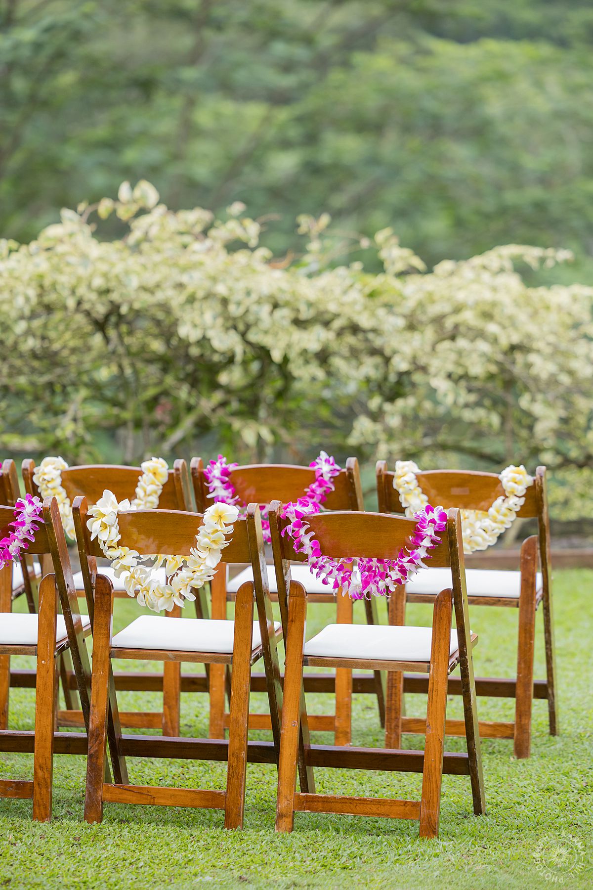 Oahu Wedding