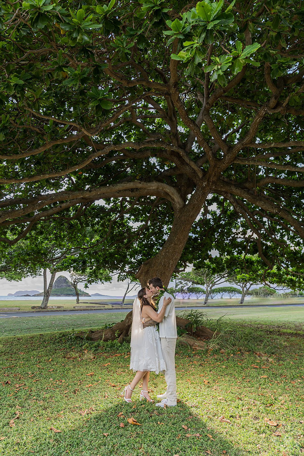 Oahu beach wedding